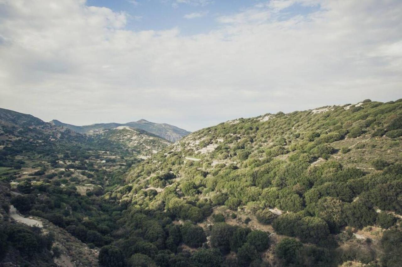 Traditional Inn Pirethron Aperathos Екстер'єр фото